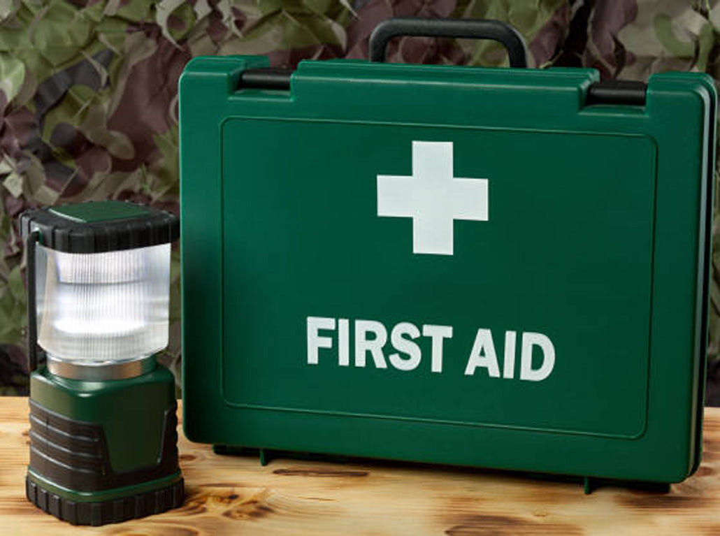 From bees to burns First Aid tips you need this summer