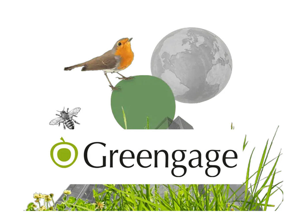 Mental health training in practice Greengage Environmental