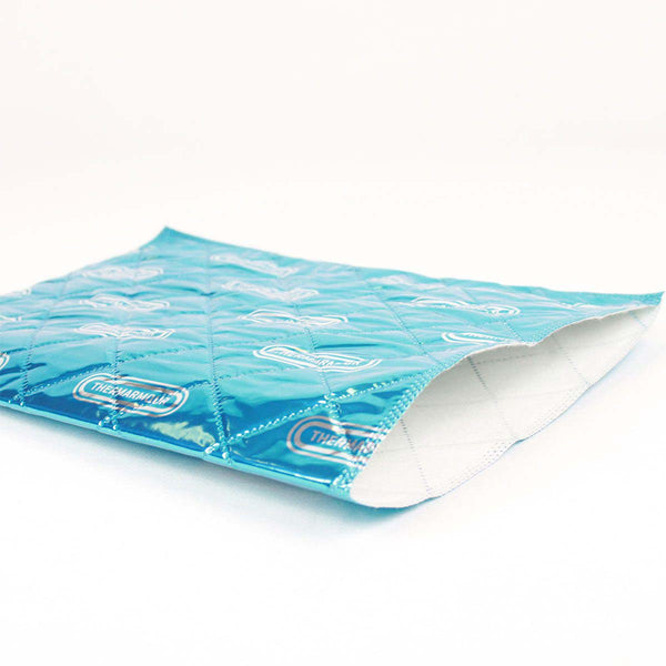 THERMARMOUR Hand Warming Pouch (10 Pack)
