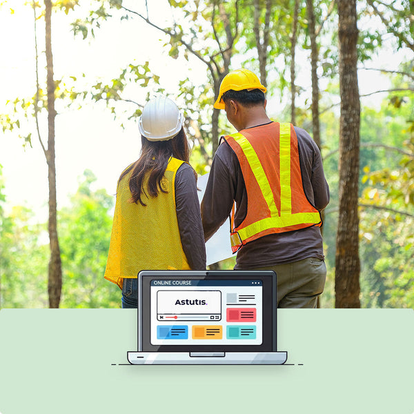 ISEP Foundation Certificate in Sustainability and Environmental Management eLearning