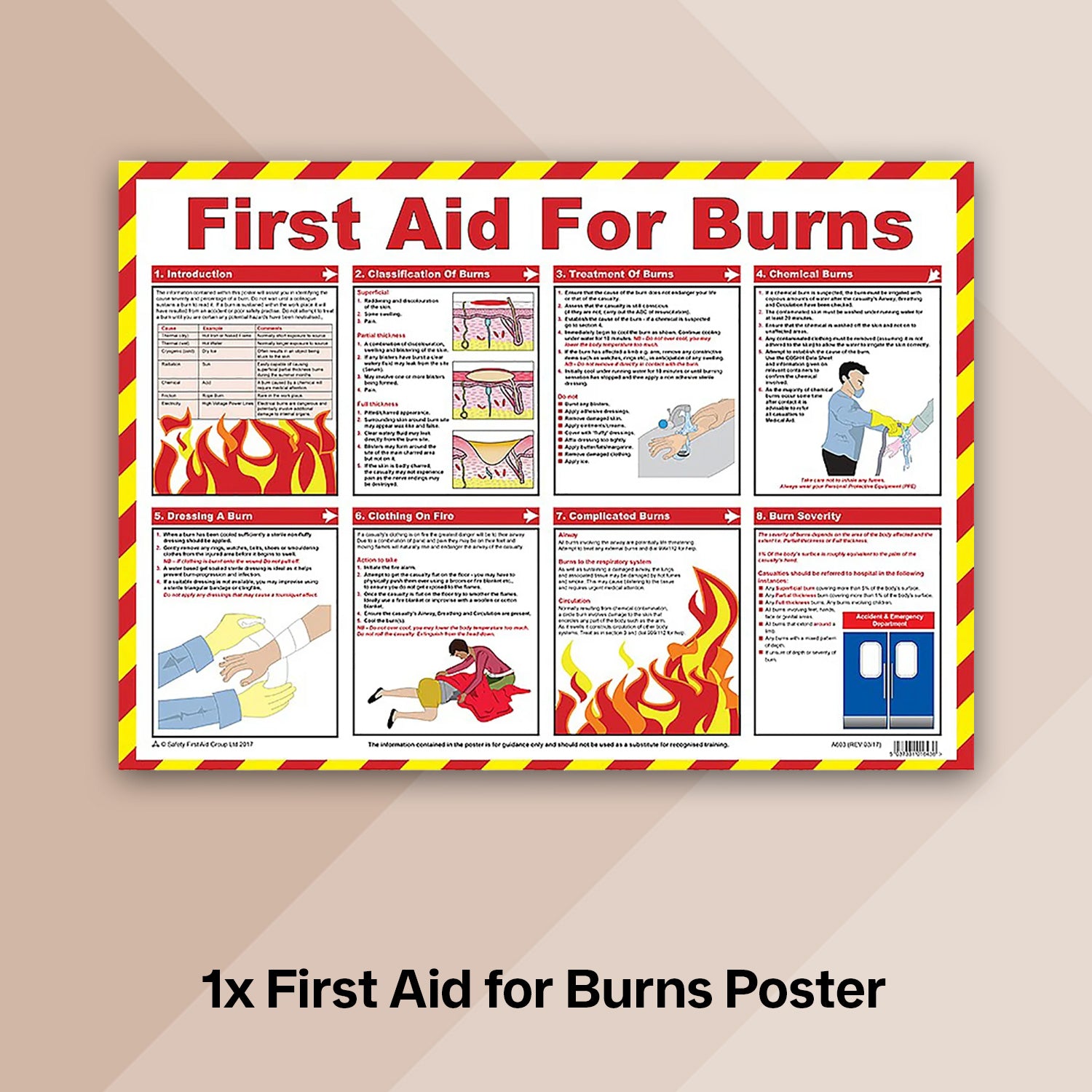 Catering First Aid Bundle